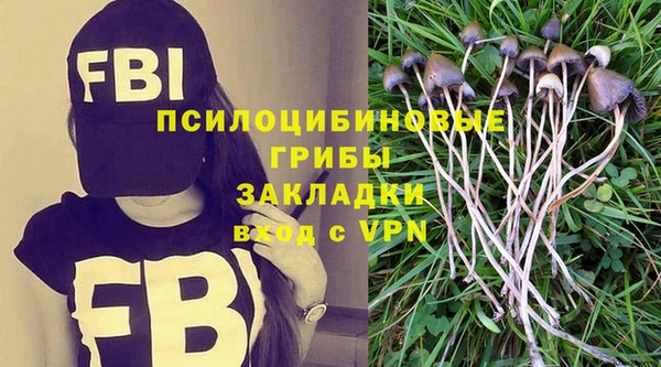 МДПВ Алзамай