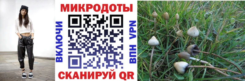 Галлюциногенные грибы прущие грибы  купить   mega зеркало  Ува 